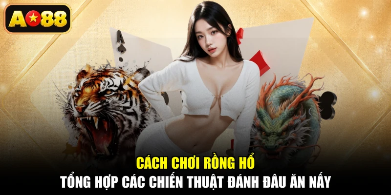 Cách Chơi Rồng Hổ - Tổng Hợp Các Chiến Thuật Đánh Đâu Ăn Nấy