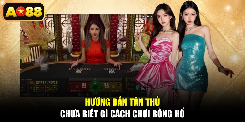 Hướng dẫn tân thủ chưa biết gì cách chơi Rồng Hổ