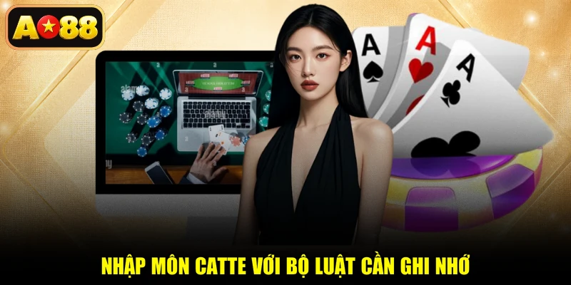 Nhập môn Catte với bộ luật cần ghi nhớ