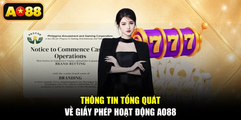 Thông tin tổng quát về giấy phép hoạt động AO88
