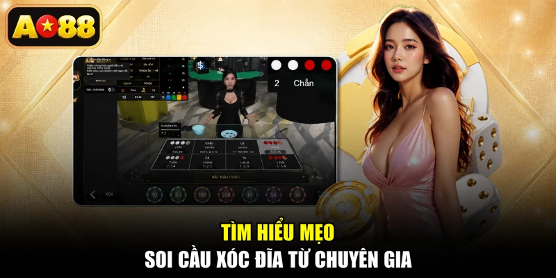 Tìm hiểu mẹo soi cầu xóc đĩa từ chuyên gia