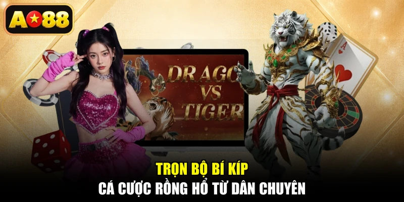 Trọn bộ bí kíp cá cược Rồng Hổ từ dân chuyên